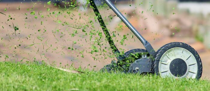Hoe maak je het mooiste gazon: Tips voor een mooie tuin