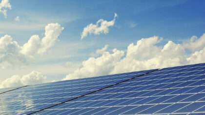 Zonnepanelen met bescherming tegen vogels