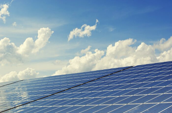 Zonnepanelen met bescherming tegen vogels