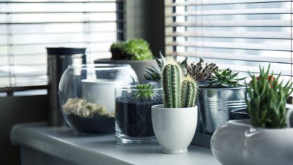 Je interieur opleuken? Denk aan deze accessoires!