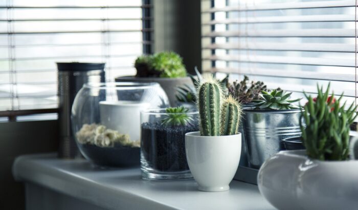 Je interieur opleuken? Denk aan deze accessoires!