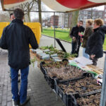 Steenbreek de bus