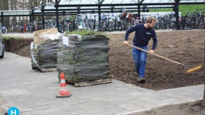 Station Brouwhuis weer beplant met begroeiing