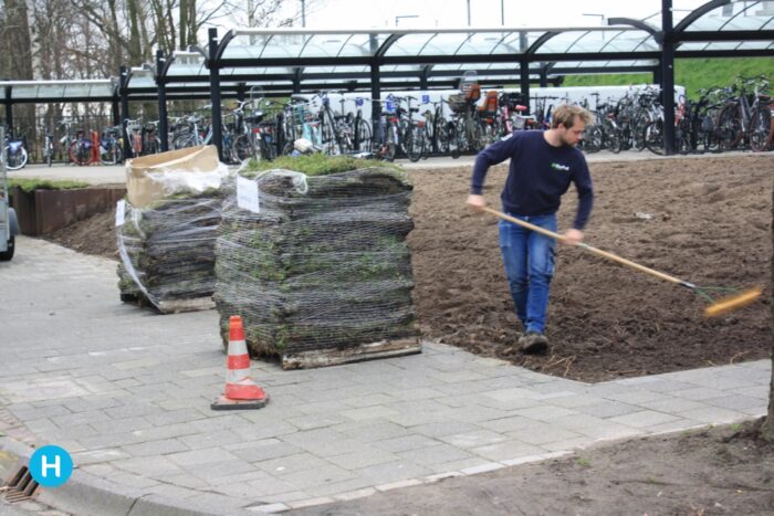 Station Brouwhuis weer beplant met begroeiing