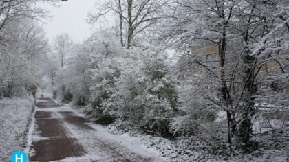 Sneeuw in maart blijft mooi