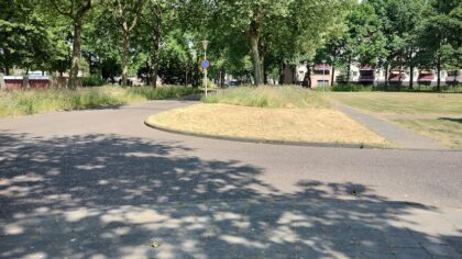 Gemeente flink aan het ‘snoeien’