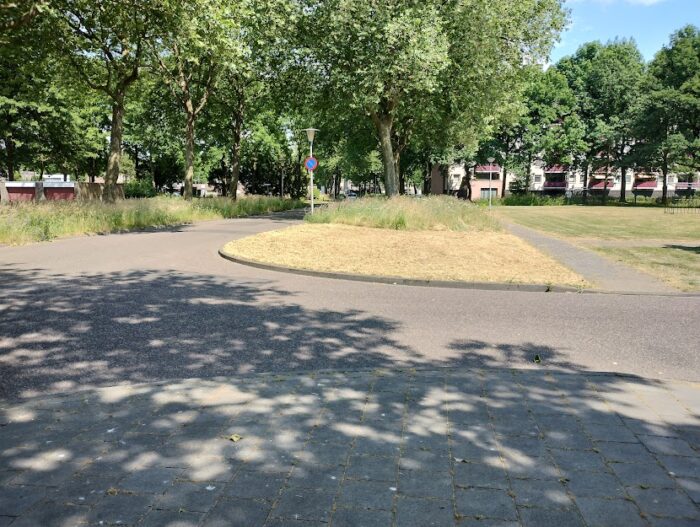 Gemeente flink aan het ‘snoeien’
