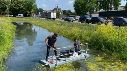 Update: steeds meer dode vissen aangetroffen