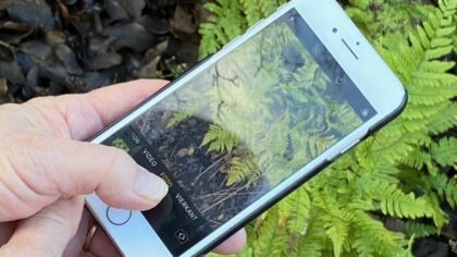 Leer goed fotograferen met je smartphone