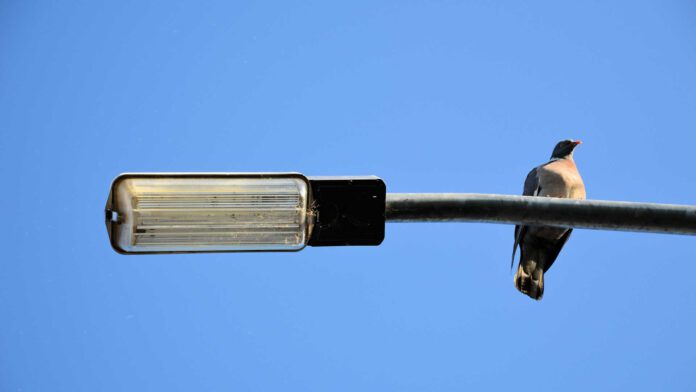 Provincie gaat over op LED-verlichting