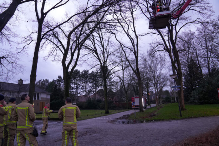 Gevaarlijke situatie met boom op de Krommeweg in Helmond