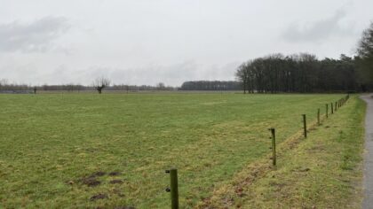 Wandelen met het IVN langs de Oude Aa en rond Berkendonk