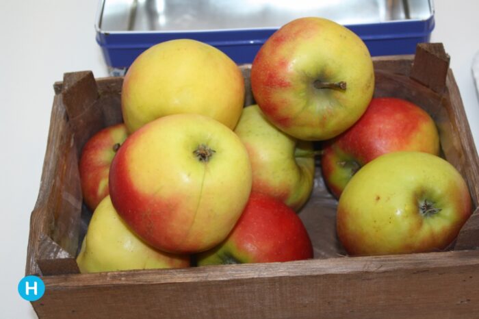 Kinderen maken kennis met fruit in de bieb
