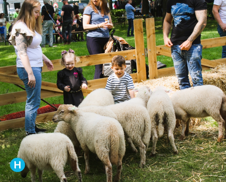Met de tram naar de Boeremèrt in Brouwhuis