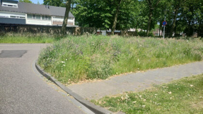 Gemeente: ‘Hoog groen door weersomstandigheden’