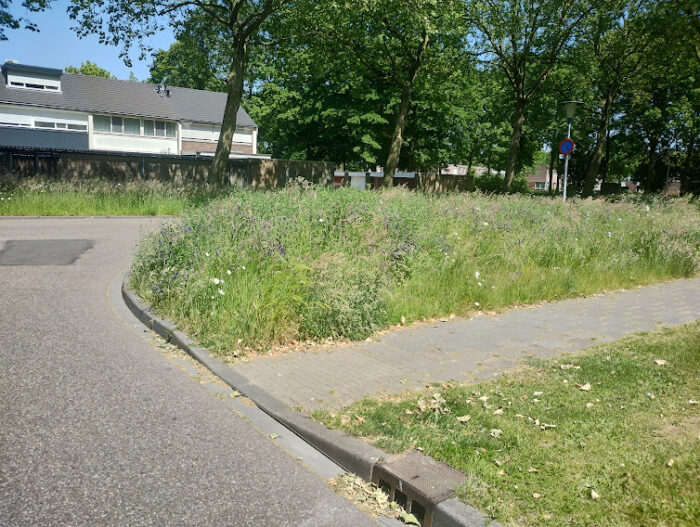 Gemeente: ‘Hoog groen door weersomstandigheden’