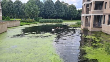 Vragen vanuit lokale politiek over Kasteel-Noord in Helmond