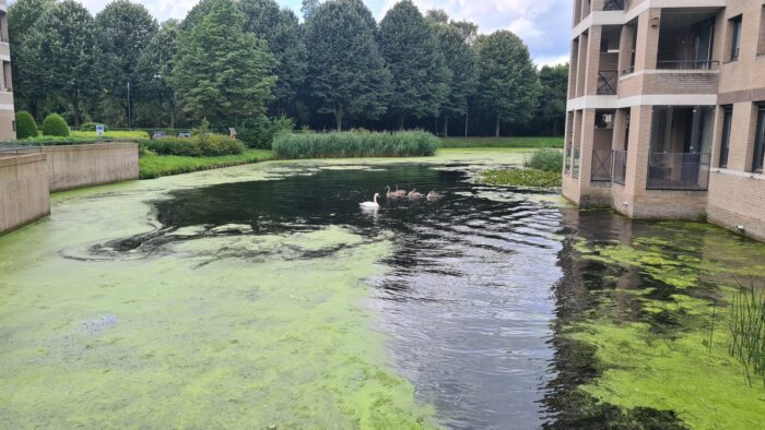 Vragen vanuit lokale politiek over Kasteel-Noord in Helmond
