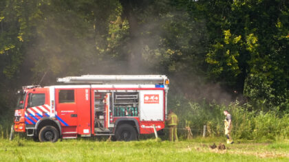 Kleine brand in Helmonds bosgebied