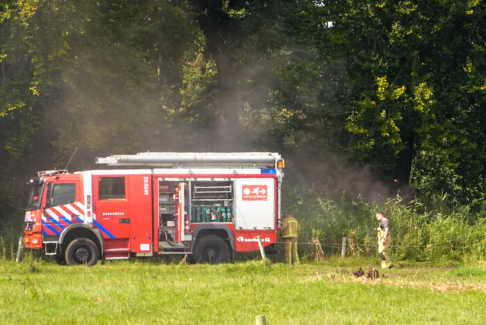 Kleine brand in Helmonds bosgebied