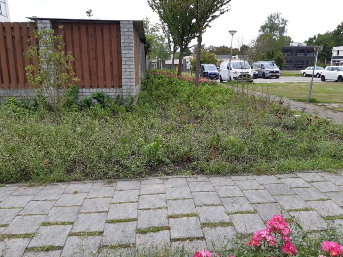 Helder Helmond dringt aan op verbetering groenbeleid in de stad