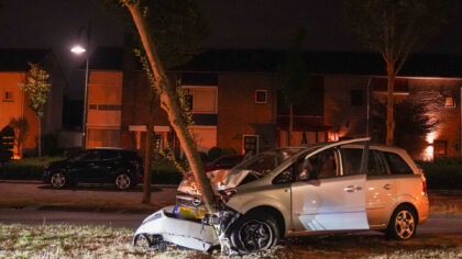 Auto knalt tegen een boom op de Nachtegaallaan