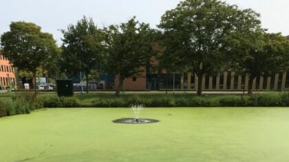 Kasteel-Noord Helmond: ‘Vijver schoongemaakt, maar pomp niet’