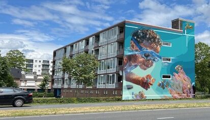 Appartementen Helmondse Zeeheldenbuurt krijgen murals