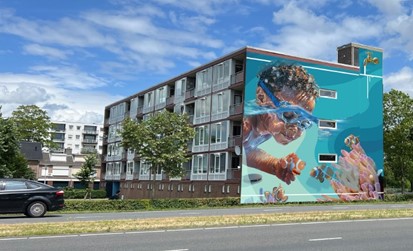 Appartementen Helmondse Zeeheldenbuurt krijgen murals