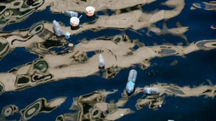 Gemeente en waterschap onderzoeken vervuiling Rochadevijver