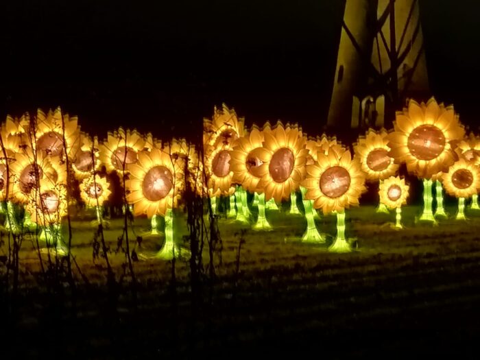 ‘Helmond is de ideale stad voor een lichtfestival’