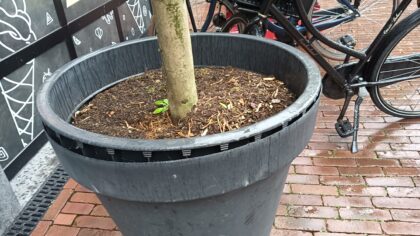 Eigenaar Rest-O-Ricus is vandalen zat en stelt ultimatum