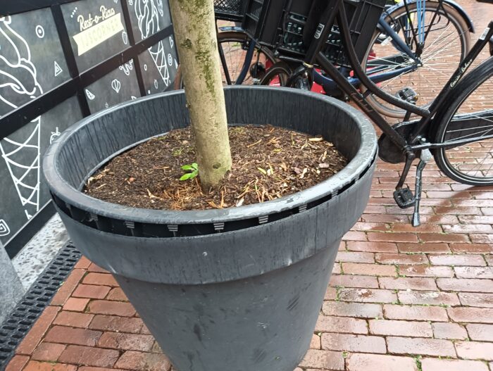 Eigenaar Rest-O-Ricus is vandalen zat en stelt ultimatum
