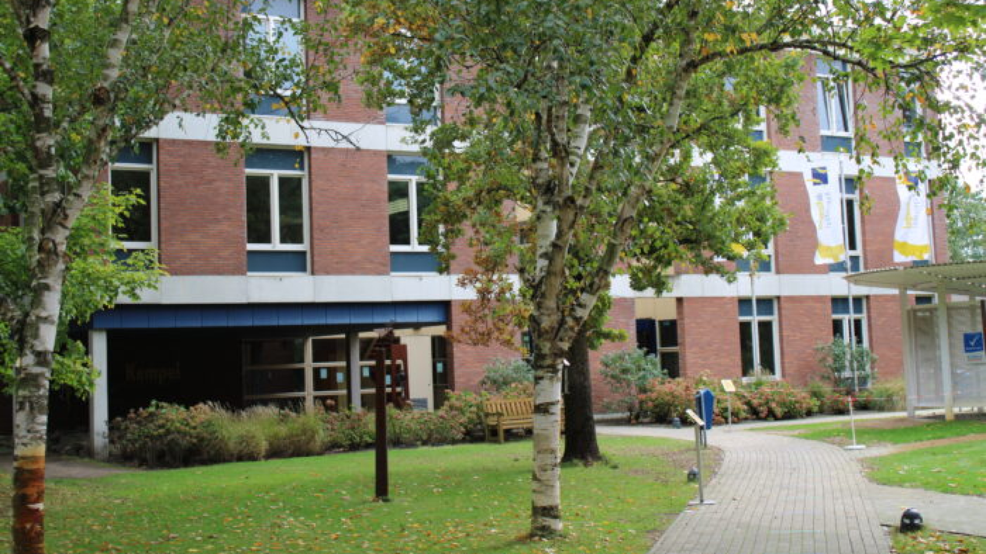 Honderden studenten kleuren Helmond tijdens nieuw stadsproject