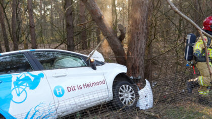 Medewerker Dit is Helmond raakt van de weg en raakt twee bomen