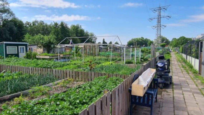 Rijk springt met miljoenen euro’s bij om saneringskosten Helmondse PFAS-vervuiling te dekken