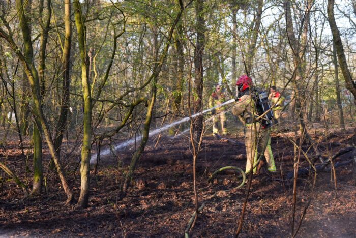 Bosbrand in Bakel snel onder controle