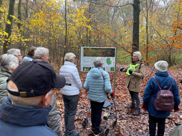 Op zoek naar groene specht en buizerd tijdens wandeling in stadspark