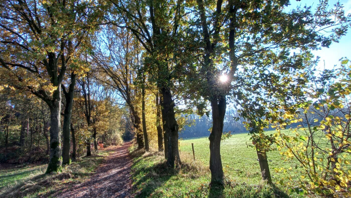 Seniorenwandeling IVN Helmond doet Bakelse Plassen aan