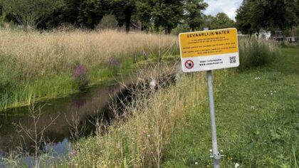 Pas op: blauwalg in water van Helmondse parken
