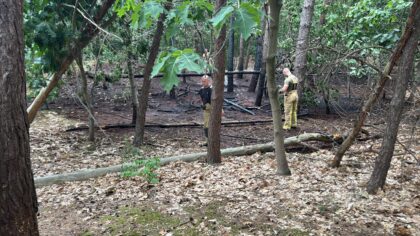 Brand in bosgebied Scheidijk