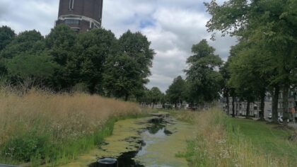 250.000 euro voor meer groen en wateropvang; Buurtnatuur- en Buurtwaterfonds open voor inwoners en organisaties