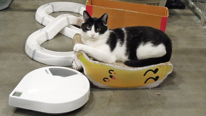 Dier van de Week: George