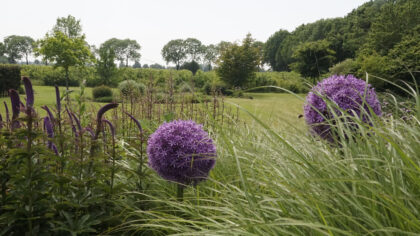 Stichting Groei & Bloei organiseert lezing over bijzondere planten