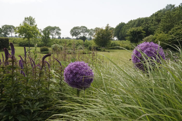 Stichting Groei & Bloei organiseert lezing over bijzondere planten