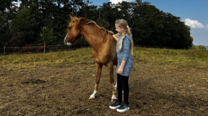 Inzamelingsactie paardencoachpraktijk voor neurodivergente mensen: ‘Dieren zijn noodzaak’