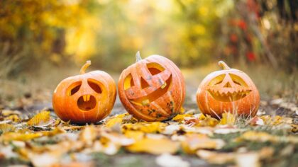 Dit is Halloween: Hallo Ween Brouwhuis een tocht met vier kilo snoep