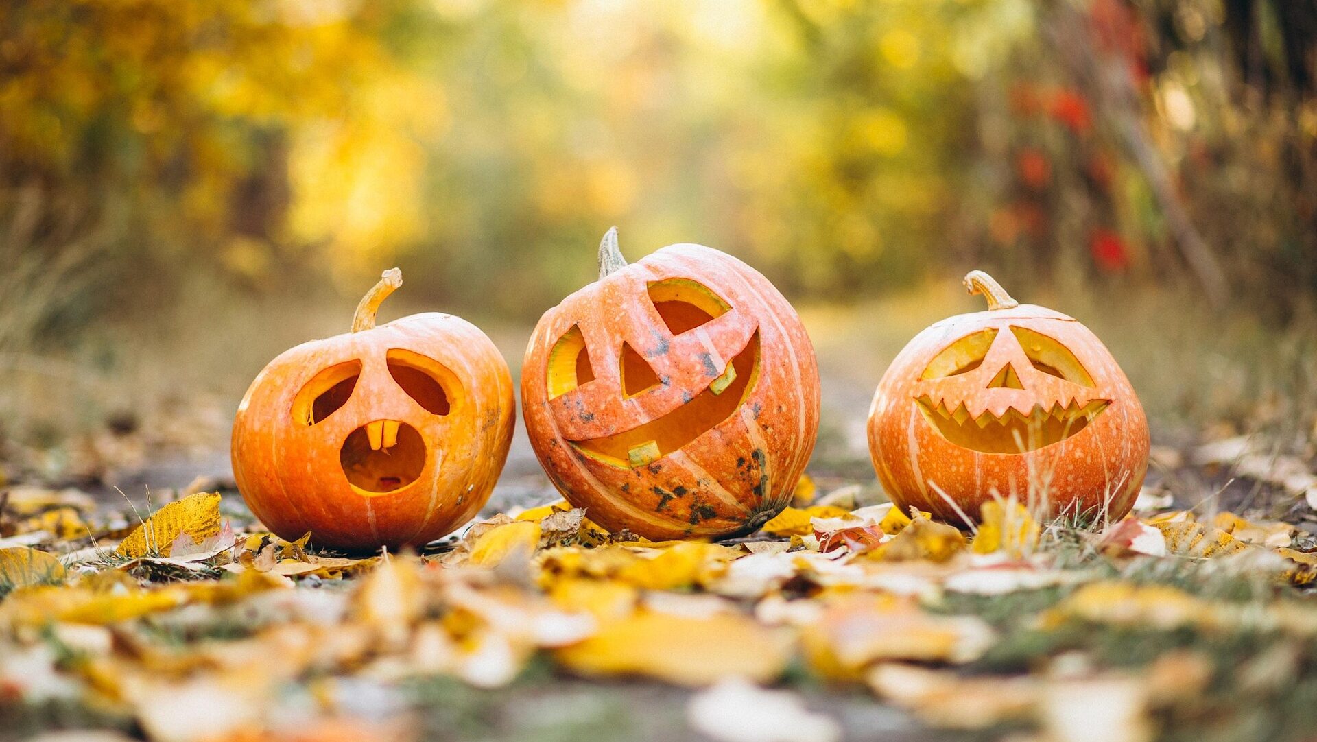 Dit is Halloween: Hallo Ween Brouwhuis een tocht met vier kilo snoep
