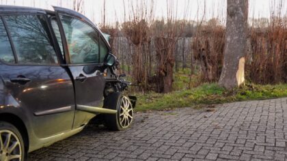 Autobestuurder botst tegen boom op Lungendonk