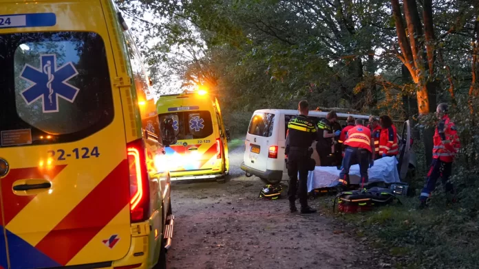 OM eist taakstraf en rijontzegging voor beschonken Helmonder (27) die in Liessel met busje op boom botst